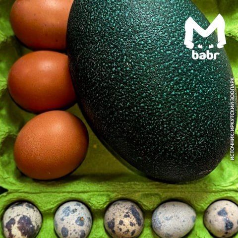 ��������, � ��� ��� ��������� ���� � ����� ���