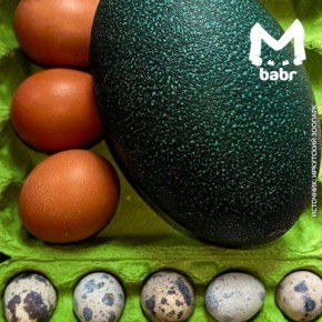 Смотрите, у нас тут финальный босс в битве яиц