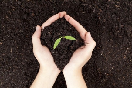 ����� ����������� ����������� ������: �������� ����� ��������� ���������