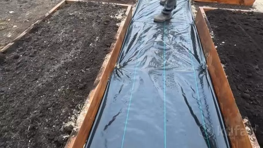 Как защитить грядки от талой воды: эффективные решения для здорового урожая