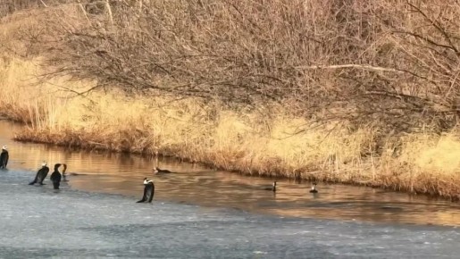 ������� �� ������ � ����� ������