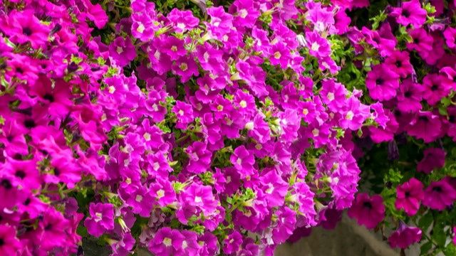 ������������� ������� �������: ��� ������������ ������� ����� ��������� ��������