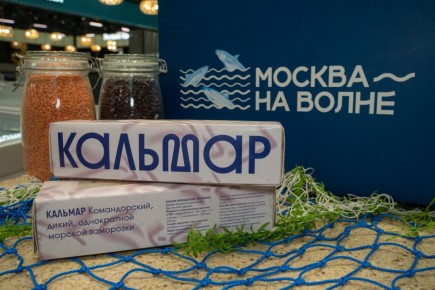 ������ �� ��������: �� �������� ���� � �������� �� ������ ������