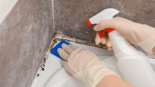 Плесень в ванной: как с ней эффективно справиться?