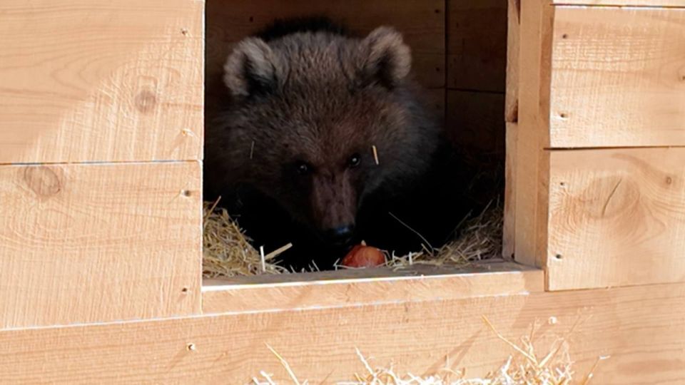 ���������� � �������� ������ ���������� ���������� � ��������� �������� � ������� ������