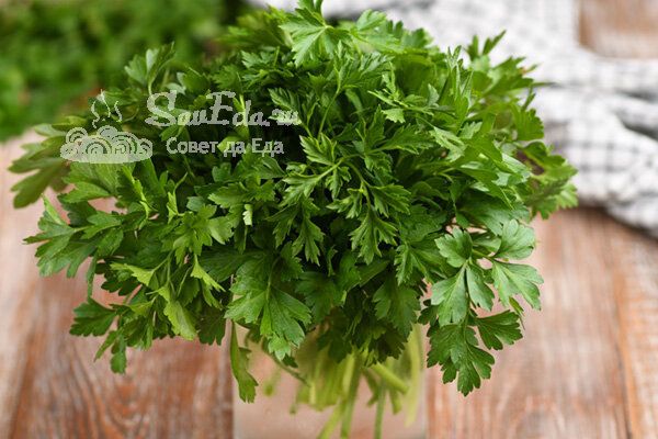 ��� ������ �������� ������: ������������ ���������� �������� �������