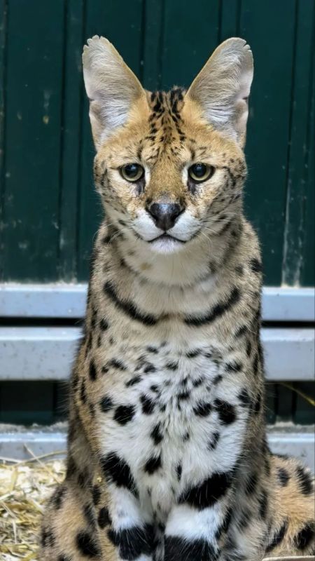 ���� ������������ ������������ � ������ ����� �� ���������� ��������