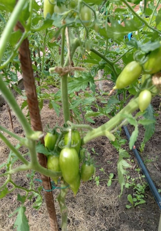 ��� ������ ������ ��������� �� ��������� � ����������� ������