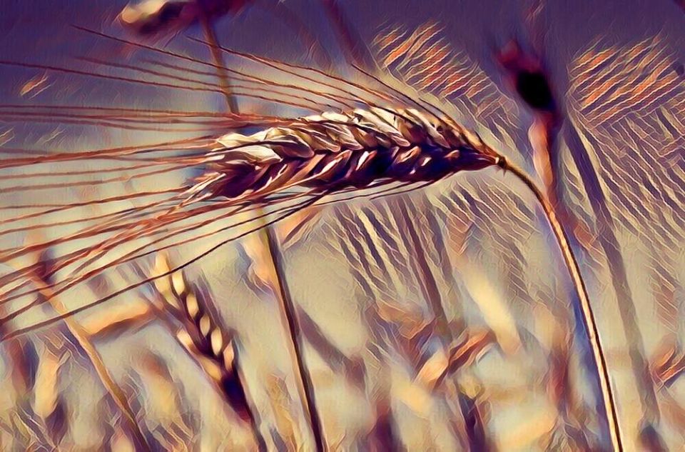 ��� ����������� ������ ������� � �������� ������ � ������: ����� � �����������