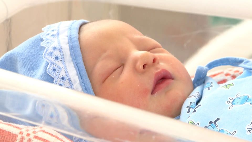 ������ � ����� ����� ������ ����������� ������� � ������������� � ��������� ������� � ������ �������� 2026 ����