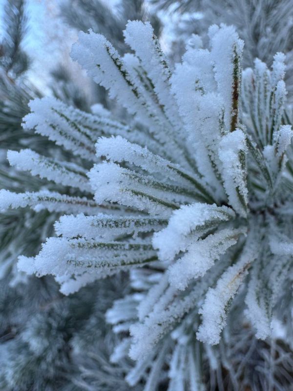 ������ ������� ����!. �� ��������� ����������, ������� ����� ������� � ������������, ������� ������� ����, ������ ���� � �����