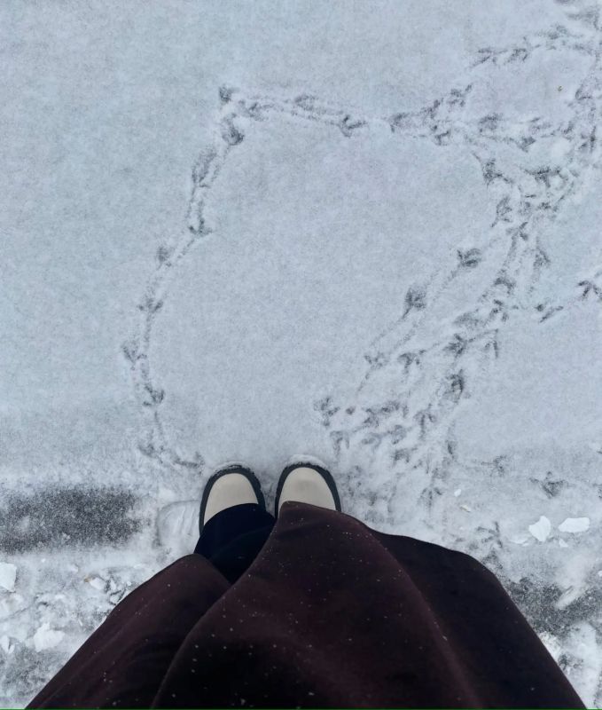 � ������� ��� ������ ������