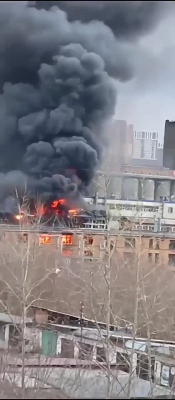 ���������������� ����� � ��������