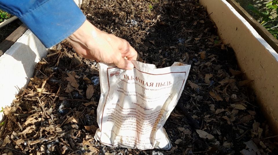 �������� ����: ��������� �������� � ��������� ��� ������ ����