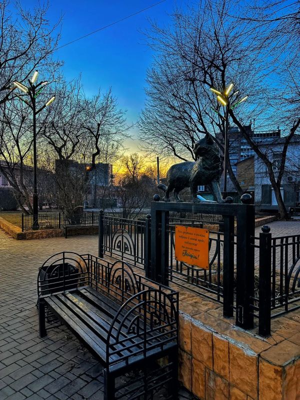 ������ ����, ��������� �������!