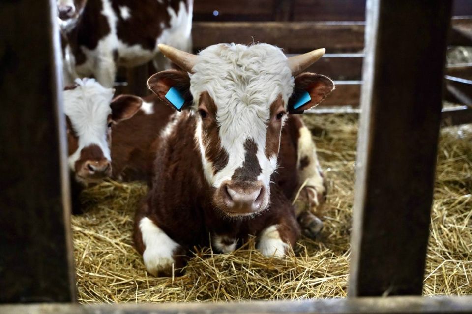 ������� ���������� ���������� �� ��������� �������� �������� � �������������������� �������� �� ������