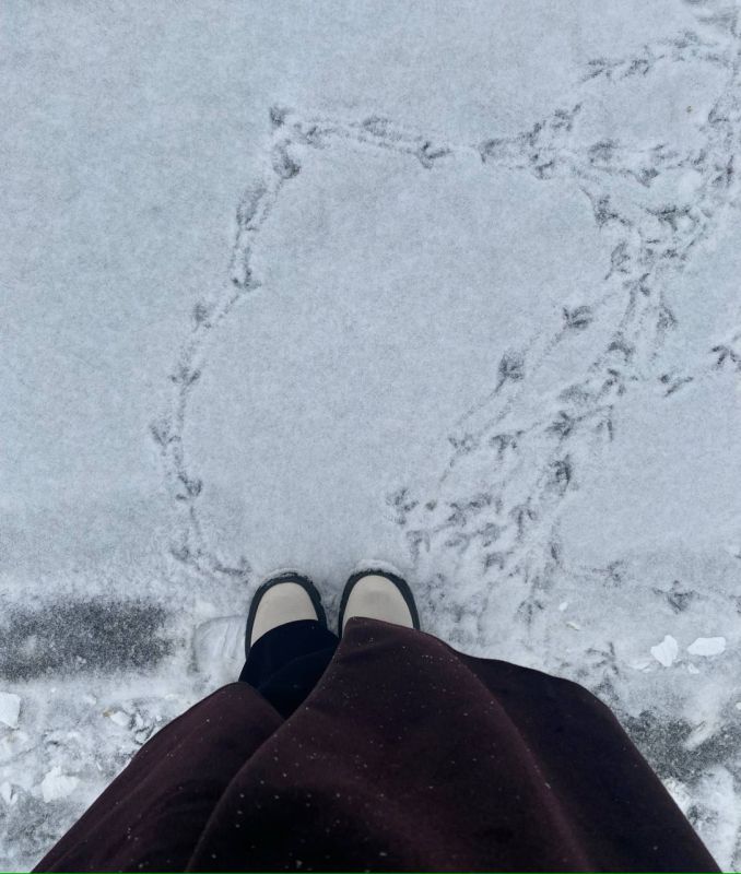 � ������� ��� ������ ������