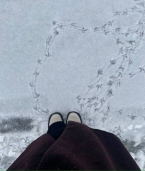 � ������� ��� ������ ������