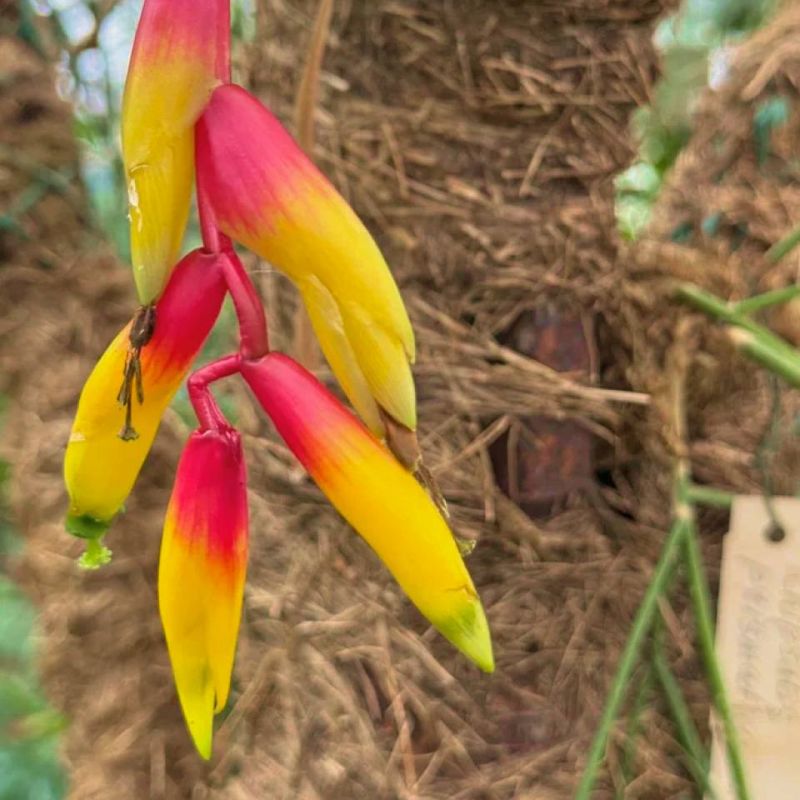 ���������� ��������: � ���������� ������������� ���� ��� ������ ����� ��������� ������� ������