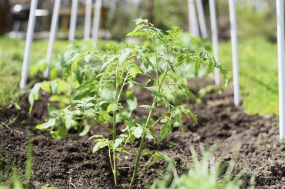 ��� ������ � ����� �����: ��������� �� ��� ��� ������ ������?