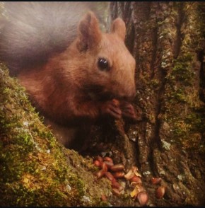 ������� ������ ������ �����������, ��������� � �����������