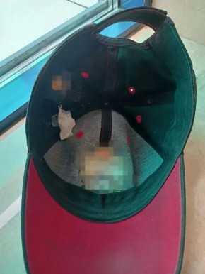 ��������� � �����: � �������� ������������ ����������� ��������� ���� ������� � �������������� �����������