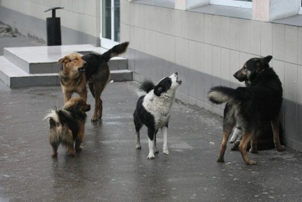 � ��������� ������� �������� �������� ����������� ��������� �����