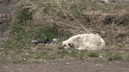 ������ ������ ������ � ������������ �������� � ������ ������ ������� �������� ���������������� �������� ��������� �������