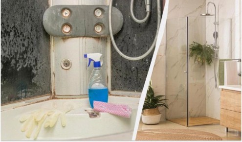 ��� ������ ���������� �� ������������ ������ � ������� ������: ������ ��������