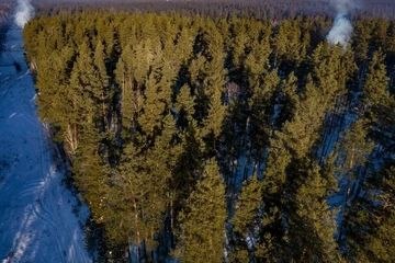 В Иркутской области официально открыли пожароопасный сезон