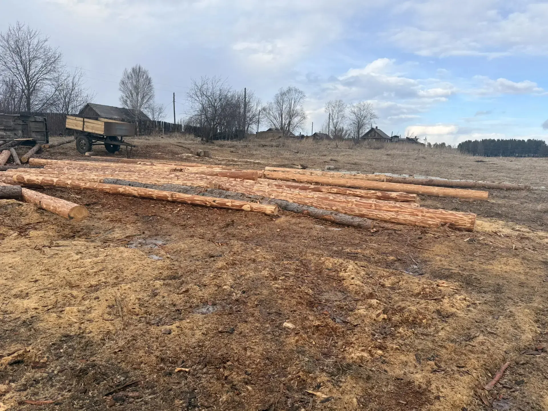 В Нижнеудинском районе полицейские задержали местного жителя, подозреваемого в незаконной рубке леса В Нижнеудинском районе полицейские задержали местного жителя, подозреваемого в незаконной рубке леса