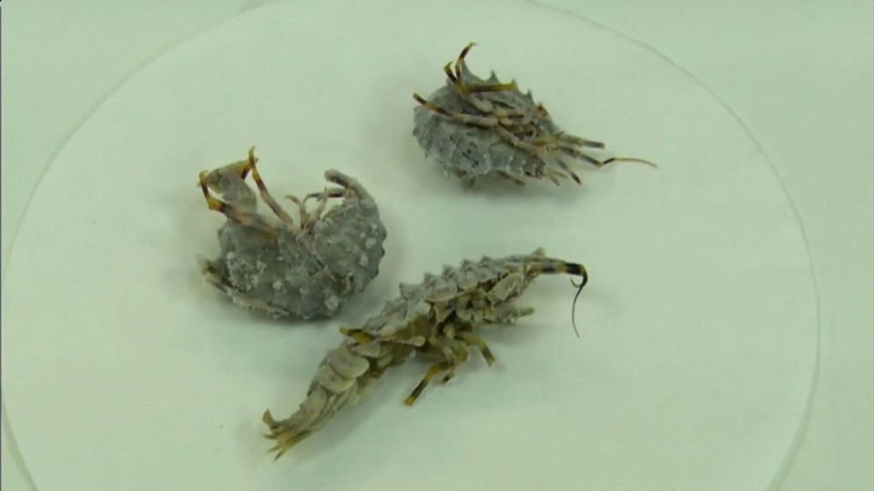 ���������� �������� �� ������������� ���������� �������