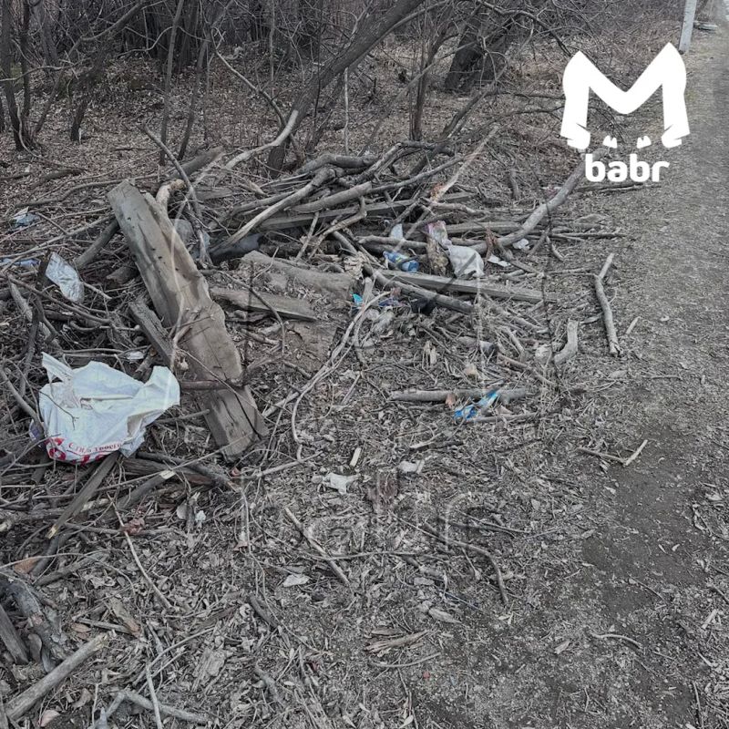 �������� ������������ �� ������ � ��������� ������� �� �������