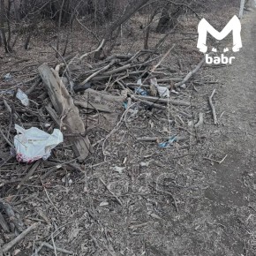 �������� ������������ �� ������ � ��������� ������� �� �������