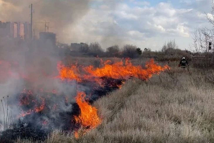 ������� ����� ����� ����������� � ������������ ���������������