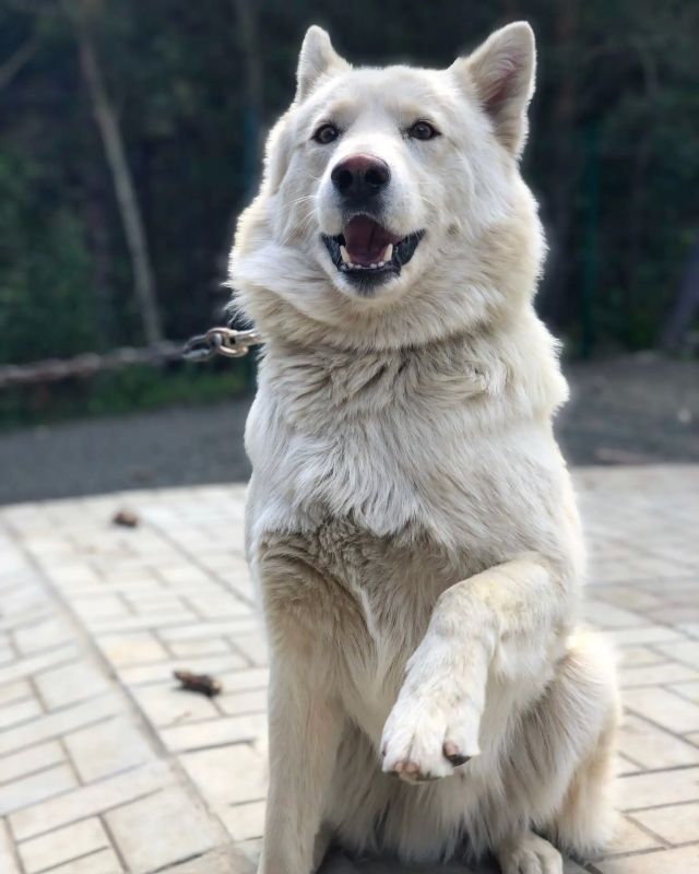 ������� �������� ���������� � �������� ���������� � ����������� �����