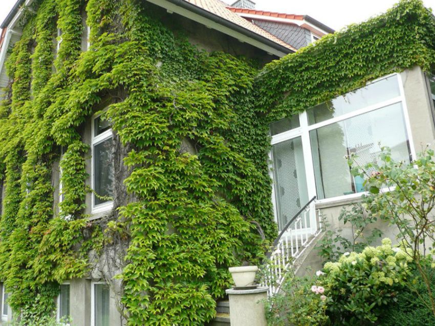 10 ����������� �������� ��������� ���� ���, ������� ����� ��������