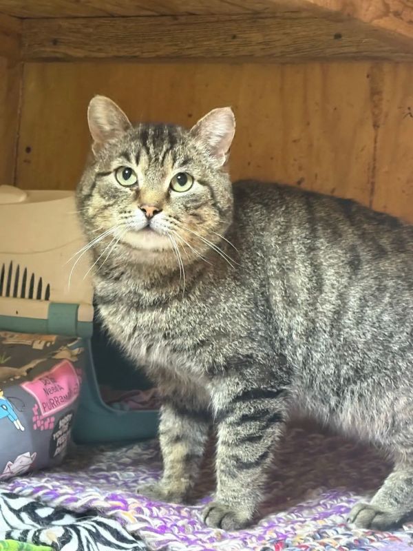 �������� ������� ���� ���� �����