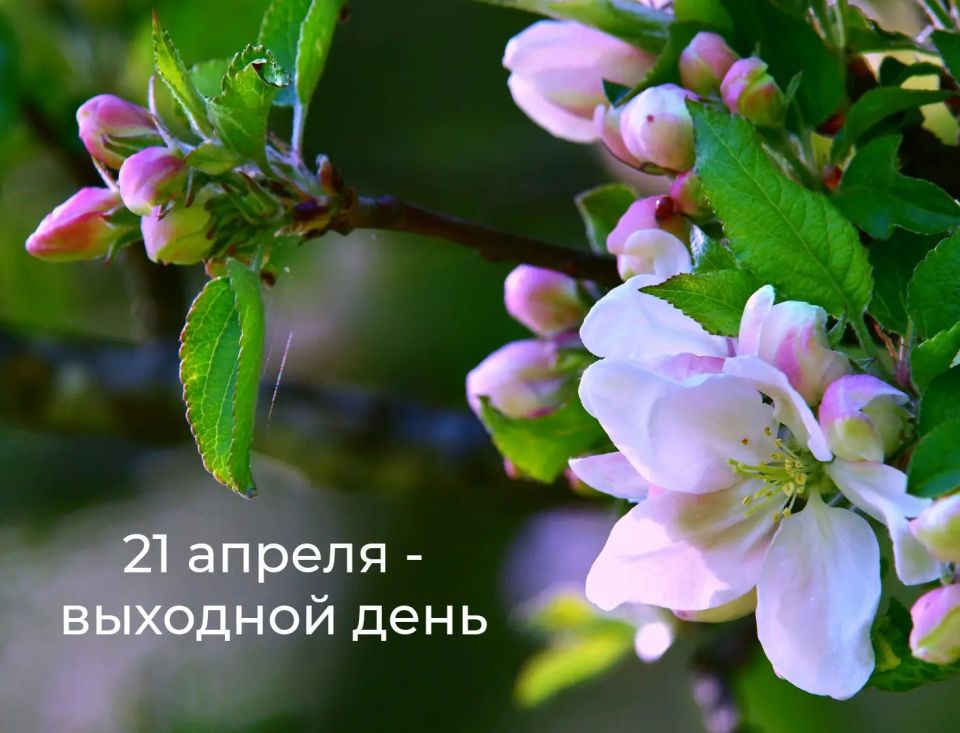 21 ������ � ��������, ��� ������������ ���� � ����� �������� � ��������� �������