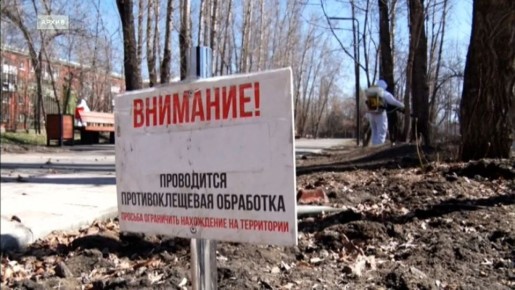 О необходимости обрабатывать животных от клещей напоминает служба ветеринарии Иркутской области