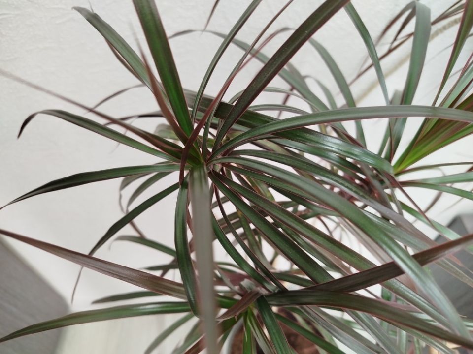 �������: ���� � ����������� ����������� � �������� ��������