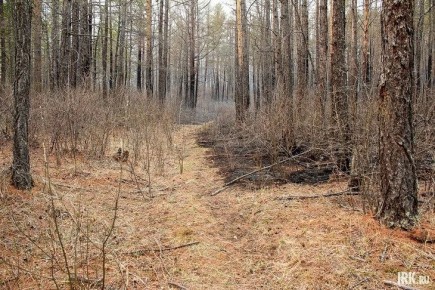 И у хорошей погоды есть свои подводные камни