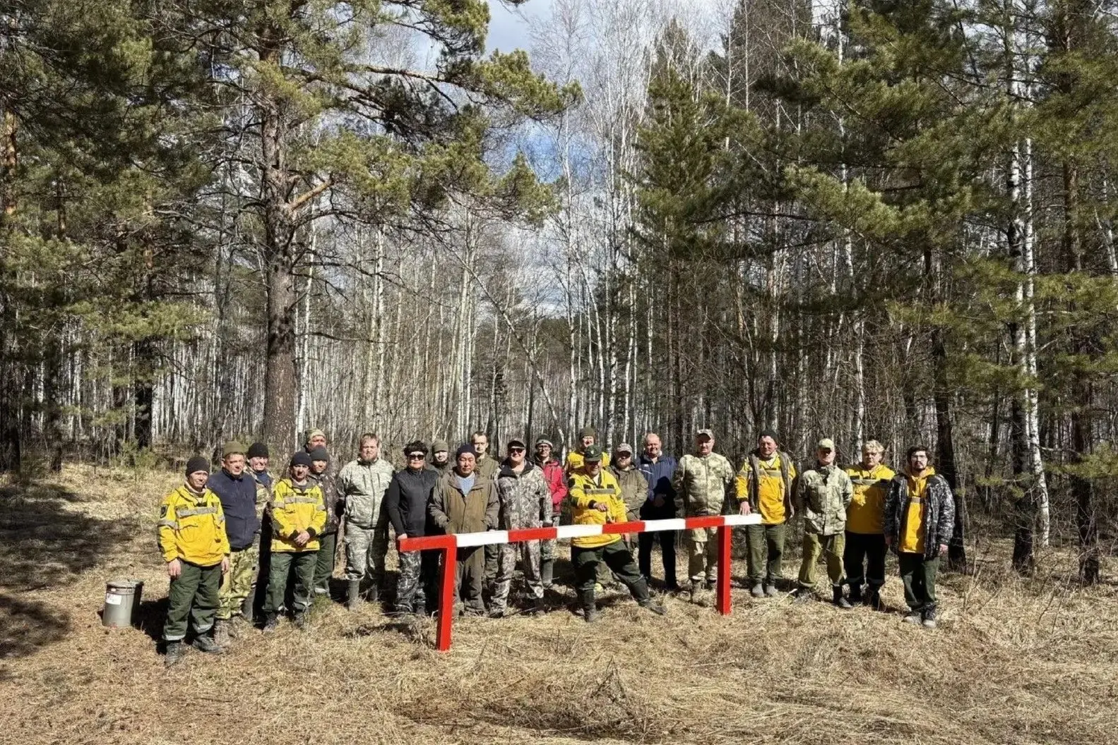 Уборку леса от валежника провели вдоль Байкальского тракта