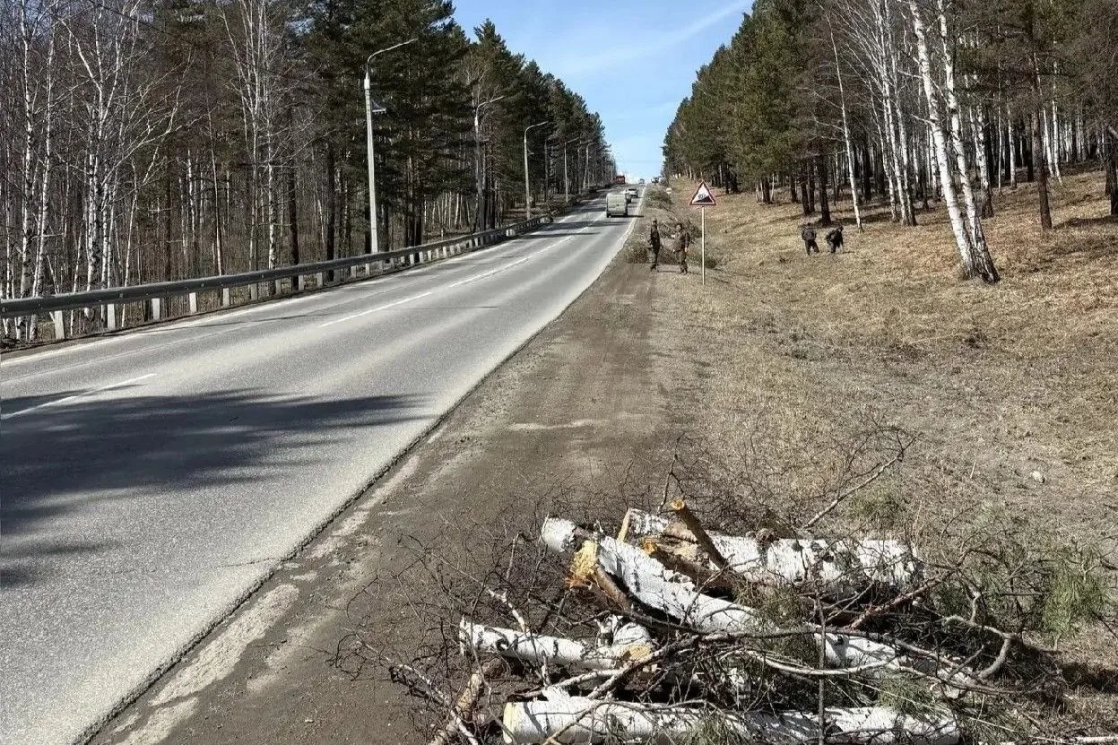 Уборку леса от валежника провели вдоль Байкальского тракта Уборку леса от валежника провели вдоль Байкальского тракта