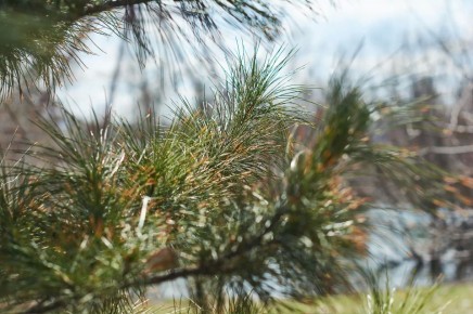 ������ ����!. �������, ������ ����, ��� �� � ��� �����, ������ � ����� ���������� ��� �������