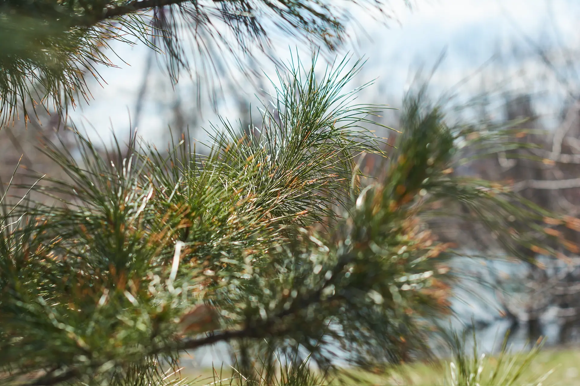 Доброе утро!. Четверг, помимо того, что он и так хорош, принес с собой потепление для иркутян