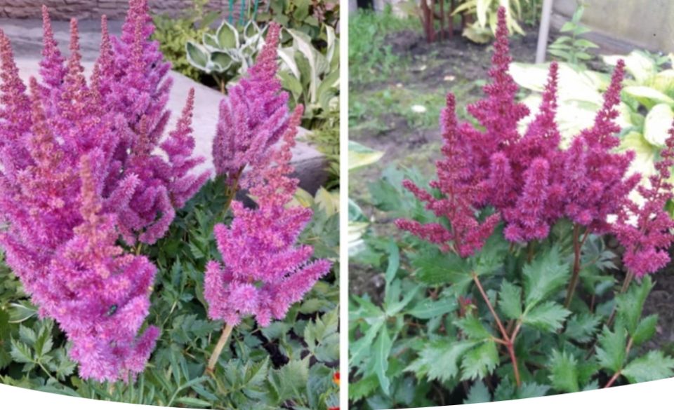 ��������: ����������� � ����� ����