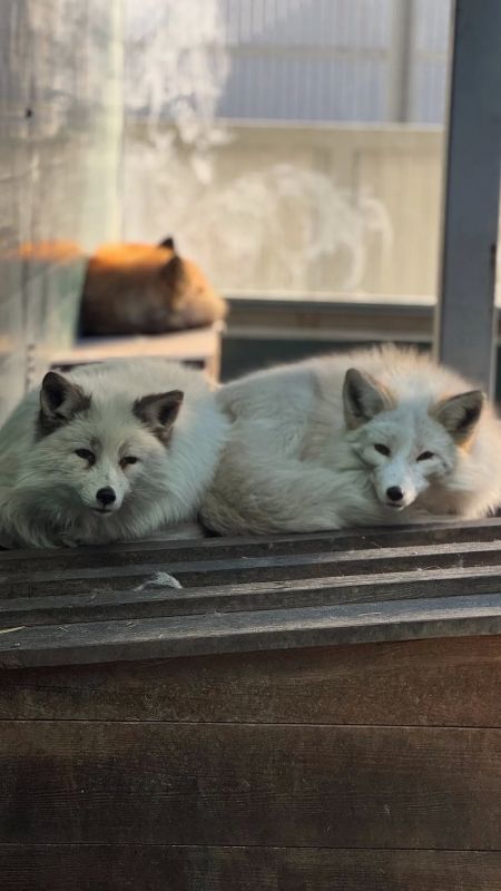 ���������� �� �������� �� ���������� ��������