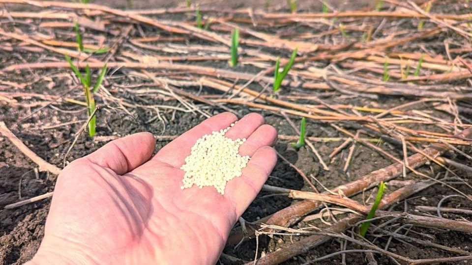 ��� ��������� �� �������� � ������ ��� �������� ������