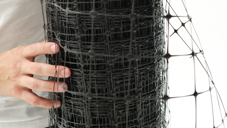 ��� ��������� ����������� ����� �� ������ ����: ������� �����